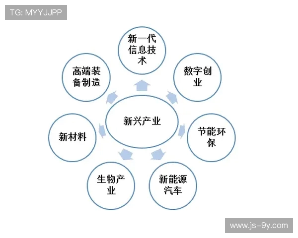 中国各行各业足球化转型的动力机制与未来发展路径综合研究深入分析
